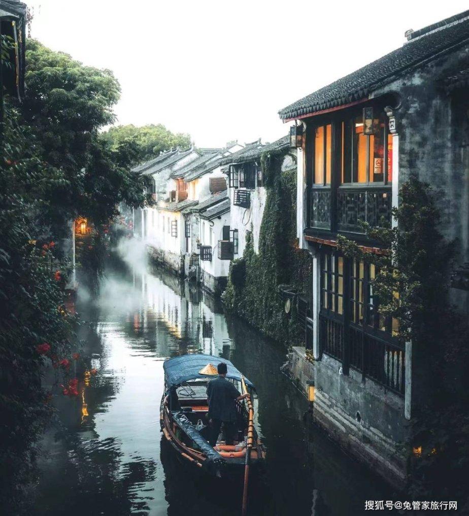 救援卡通老虎